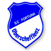 SC Oberschefflenz