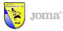 SV Gammelsbach