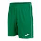 Preview: JOMA Short LIGA