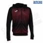 Preview: JOMA Kapuzenjacke TIGER V