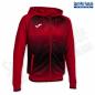 Preview: JOMA Kapuzenjacke TIGER V