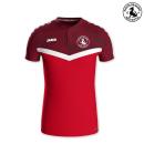 JAKO Poloshirt ICONIC - Dragons Neckartal