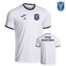 JOMA Trikot COMBI PREMIUM - SpVgg Neckarsteinach